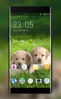 Theme for Intex Aqua Desire HD Puppy Wallpaper Affiche