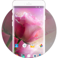 Theme for Intex Aqua Q7 Pro