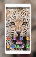 Theme for Intex Aqua Style X Animal Wallpaper Poster