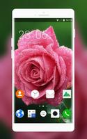 Theme for Intex Killer Rose Wallpaper-poster