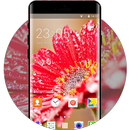 Themes for Intex Aqua Active APK