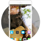 Theme for Intex Yuvi Plus Squirrel Wallpaper icône