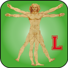 Calculadora Proporción LITE icono