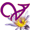 In Vita icon