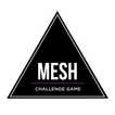 ”Mesh Challenge Game