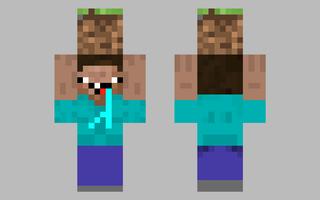 Skin Dirt For Minecraft poster