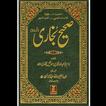 Sahi Bukhari Urdu & Arabic Volume 6