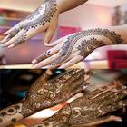 Mehndi Design 아이콘