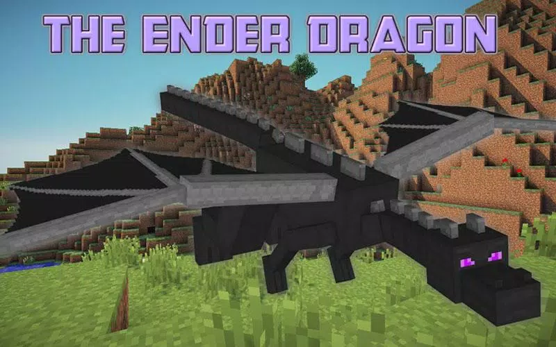 Ender Dragon Skin APK for Android Download