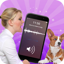 APK Dog Translator Simulator Prank