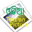 odia text on picture APK