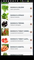 Cara Budidaya Sayuran captura de pantalla 1