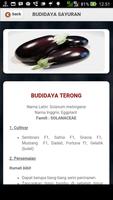 Cara Budidaya Sayuran スクリーンショット 2