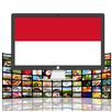 Indonesia tv APK