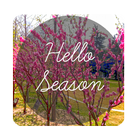 Hello Season 圖標