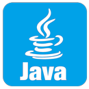 Learn Java Programming APK