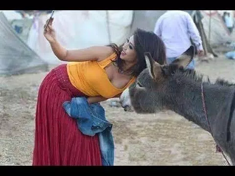 Tải xuống APK Hot Funny Video Prank For WhatsApp and Facebook cho Android Tải xuống APK Hot Funny Video Prank For WhatsApp and Facebook cho Android