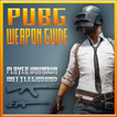 PUBG:Weapon Guide
