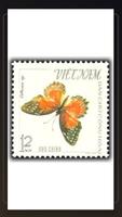 Find the pair (Philately version) اسکرین شاٹ 2