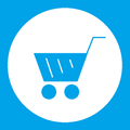 Shopping List & Budget