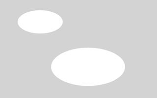 White Oval syot layar 1
