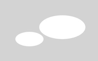 White Oval syot layar 2