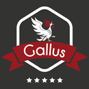 Gallus APK