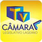 TV CÂMARA LAGES - SC 图标