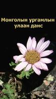 Poster Ургамлын улаан данс /Mongolian Red List of Plant/