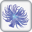 Anemone Reality APK