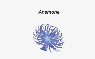 Anemone Reality Affiche