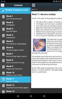 برنامه‌نما Weekly Pregnancy Cycle عکس از صفحه