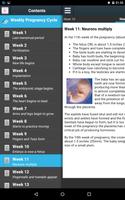 Weekly Pregnancy Cycle syot layar 2