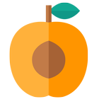 Apricot Zone アイコン