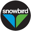 Snowbird Ski APK