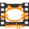 Cats With Me APK