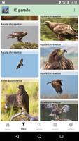 Canadian Birds capture d'écran 1