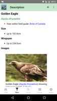 Canadian Birds capture d'écran 2