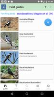 Poster Australian Birds Guide