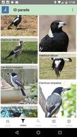 2 Schermata Australian Birds Guide