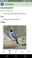 3 Schermata Australian Birds Guide