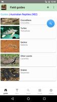 Australian Reptiles and Frogs Affiche