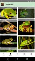 Australian Reptiles and Frogs capture d'écran 3