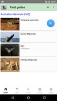 Australian Mammals Affiche