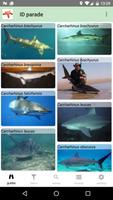 Sydney Marine Life 截图 1