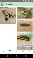 Gaia Guide 截圖 3