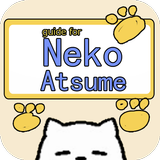 guide for neko atsume icon
