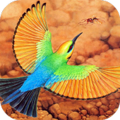 BIRD Wallpapers v1 icon