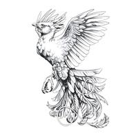 BIRD TATTOO Wallpapers v1 poster