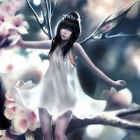 برنامه‌نما FAIRY Wallpapers v1 عکس از صفحه